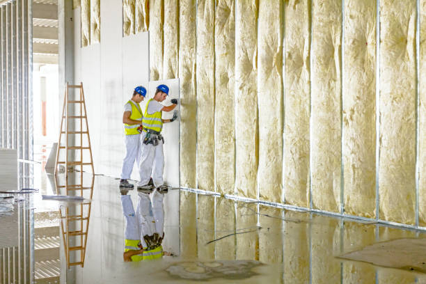 Best Cellulose Insulation in Macedonia, OH